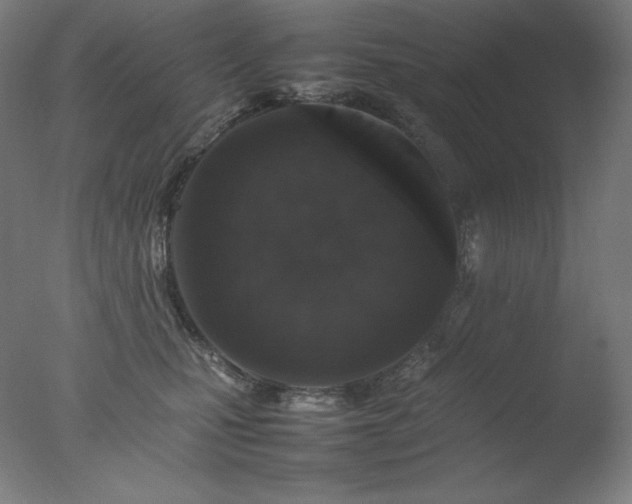X0000077290471200610271529