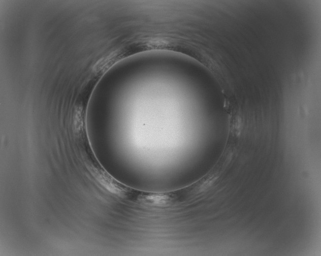 X0000077290478200610271529