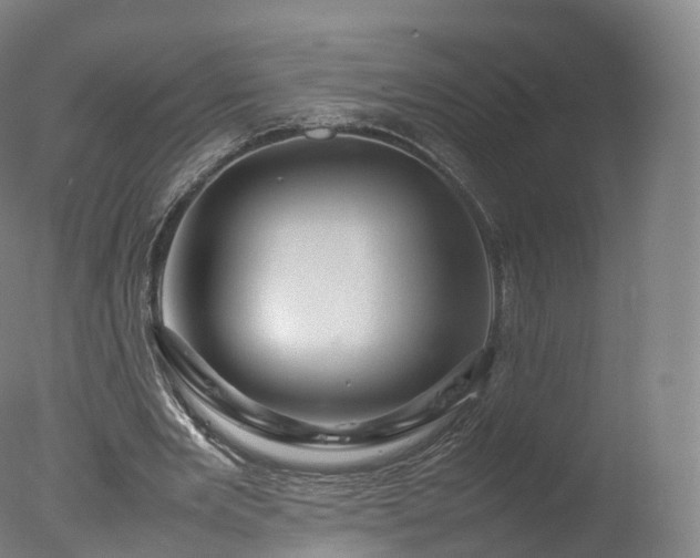 X0000077290485200610271528
