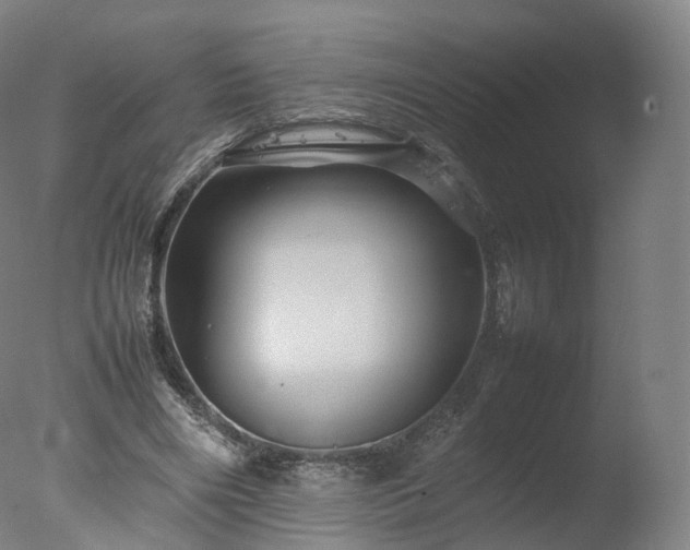 X0000077290490200610271528