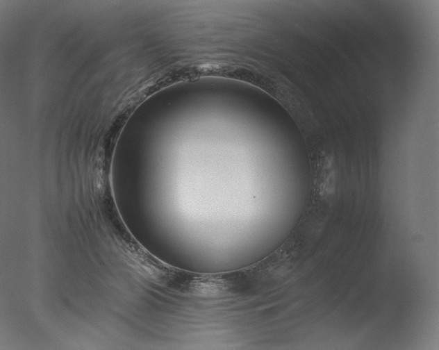 X0000077290510200610271528