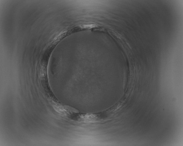 X0000077290517200610271528