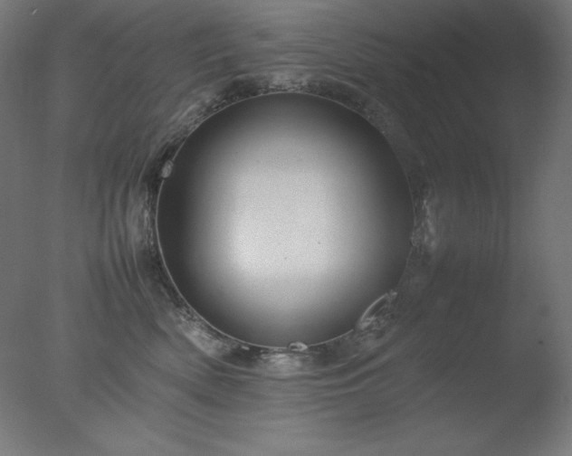 X0000077290522200610271527