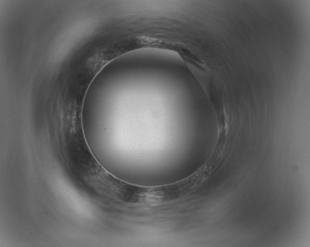 X0000077290525200610271527