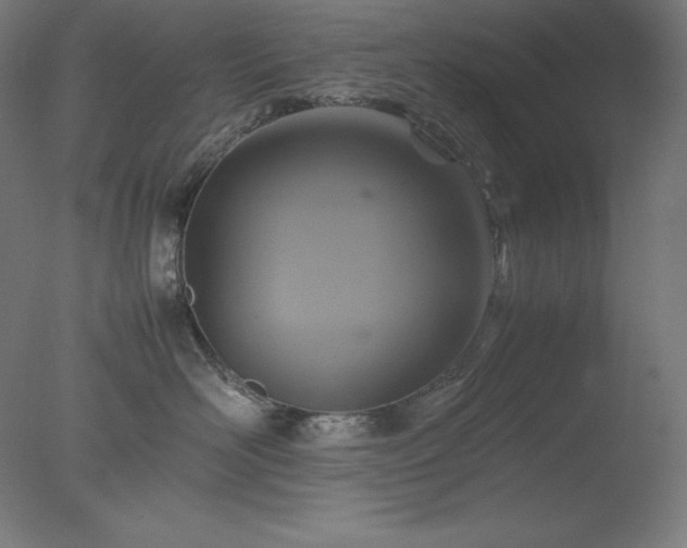X0000077290526200610271527
