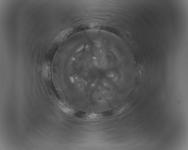 X0000077290527200610271527