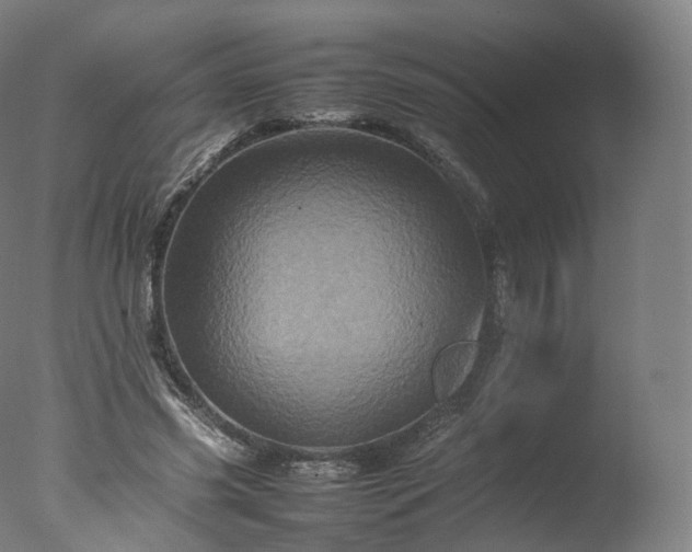 X0000077290541200610271527