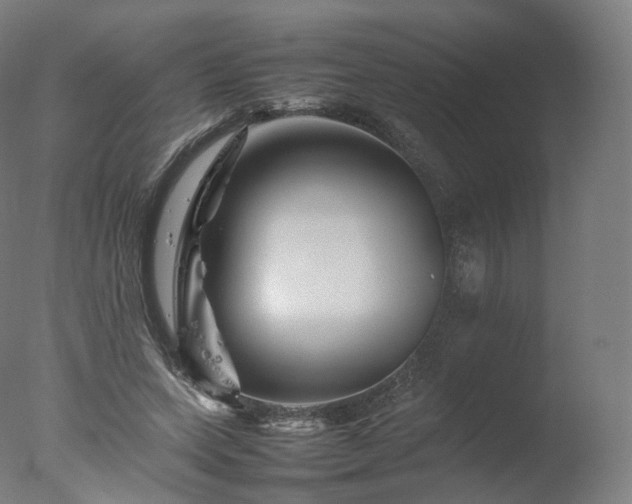 X0000077290543200610271527