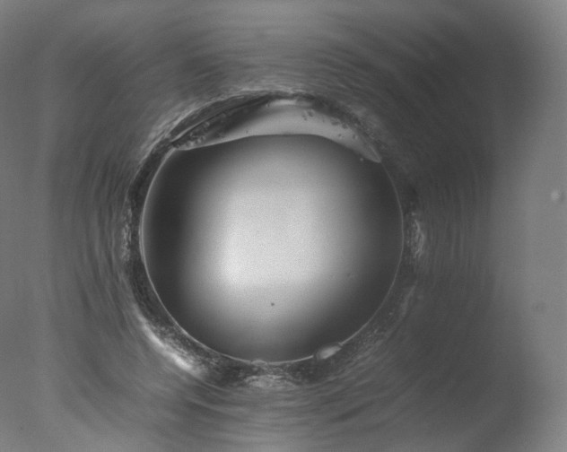 X0000077290544200610271527