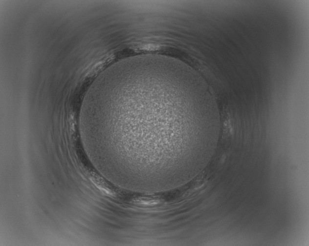 X0000077290555200610271527