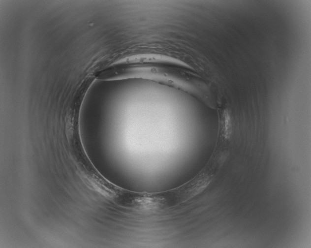 X0000077290558200610271527