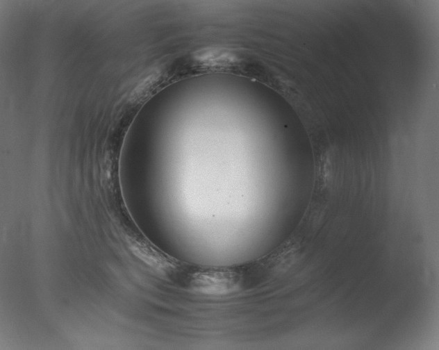 X0000077290567200610271527