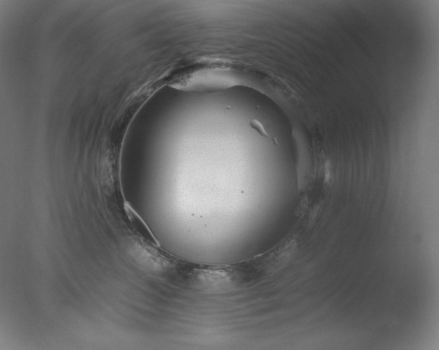 X0000077290572200610271527