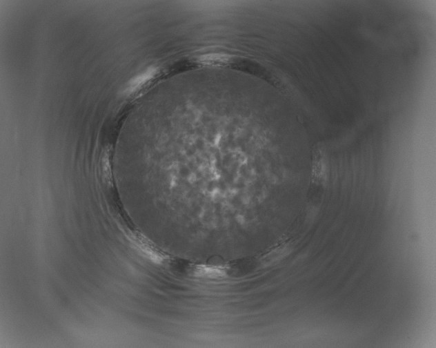 X0000077290573200610271527
