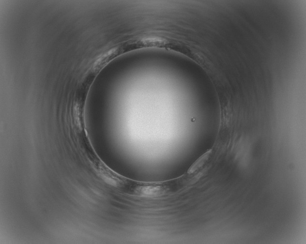 X0000077290575200610271527