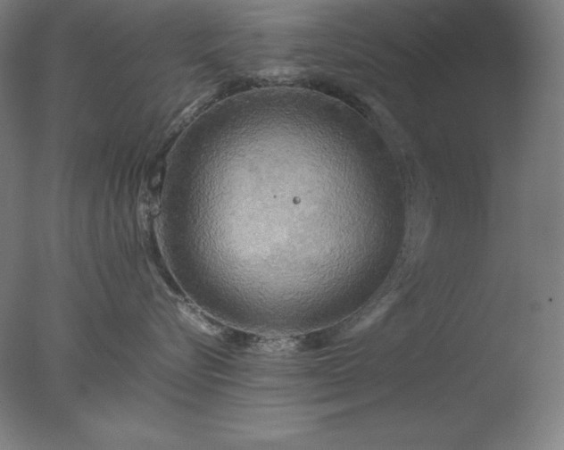 X0000077290576200610271527