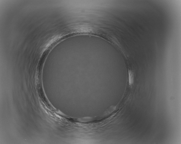 X0000077290579200610271527