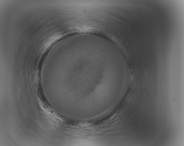 X0000077290583200610271526