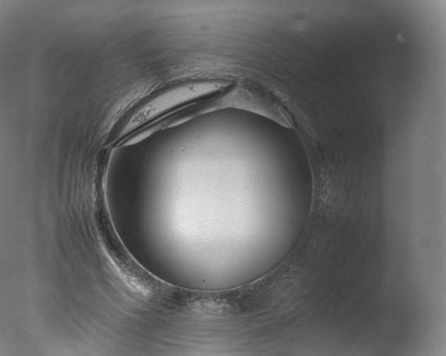 X0000077290586200610271526
