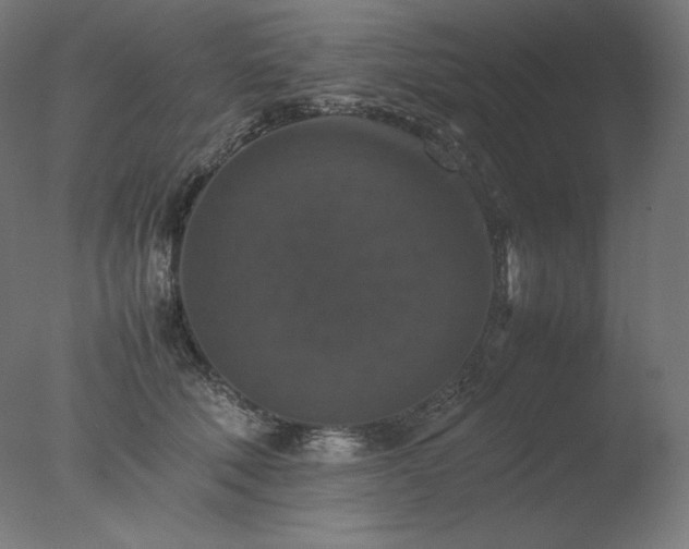 X0000077290610200610271526