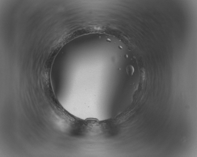 X0000077290613200610271526