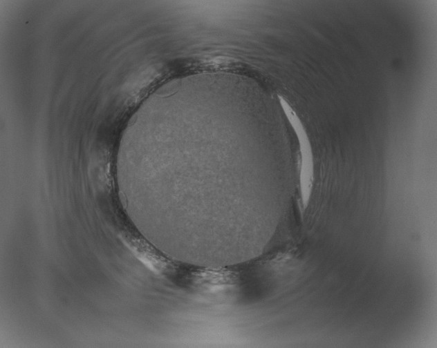 X0000077290615200610271526