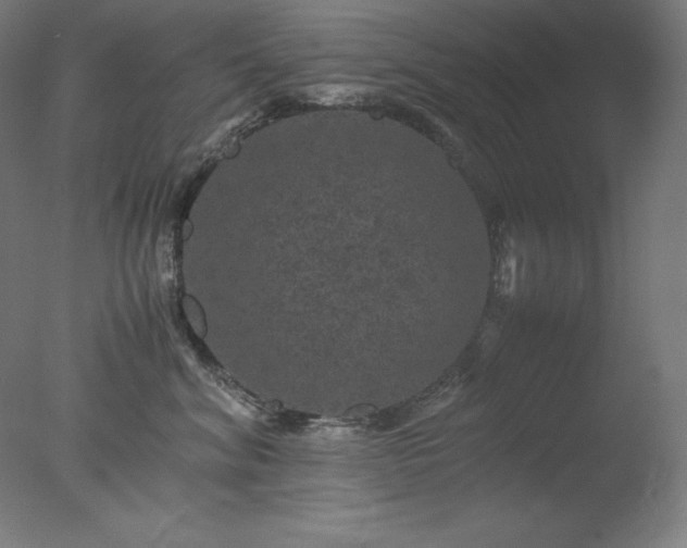 X0000077290620200610271526