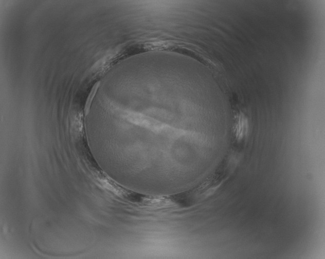 X0000077290621200610271526