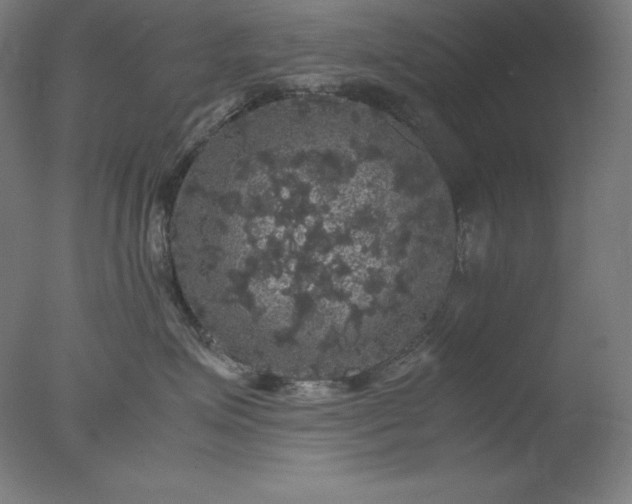 X0000077290623200610271526