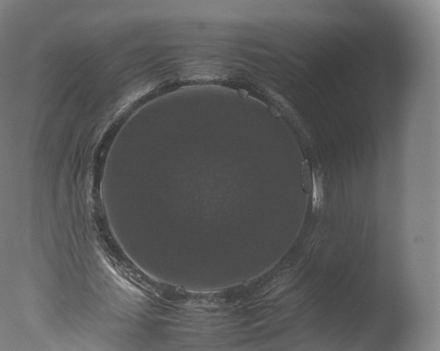 X0000077290627200610271525