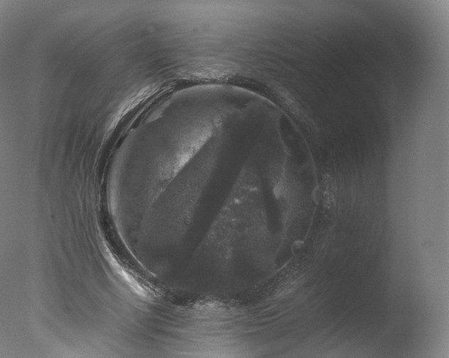 X0000077290634200610271525