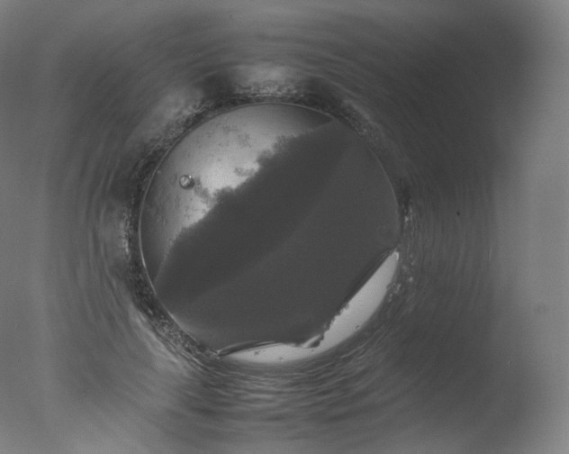 X0000077290643200610271525