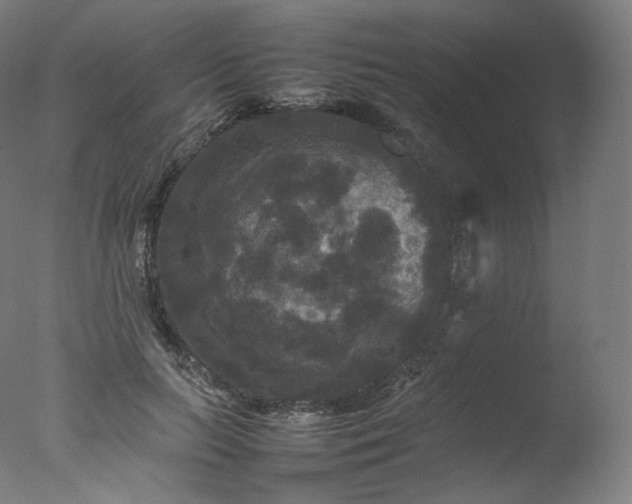 X0000077290647200610271525