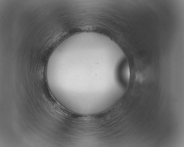 X0000077290652200610271525