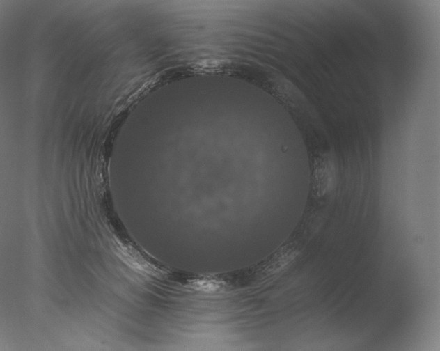 X0000077290654200610271525