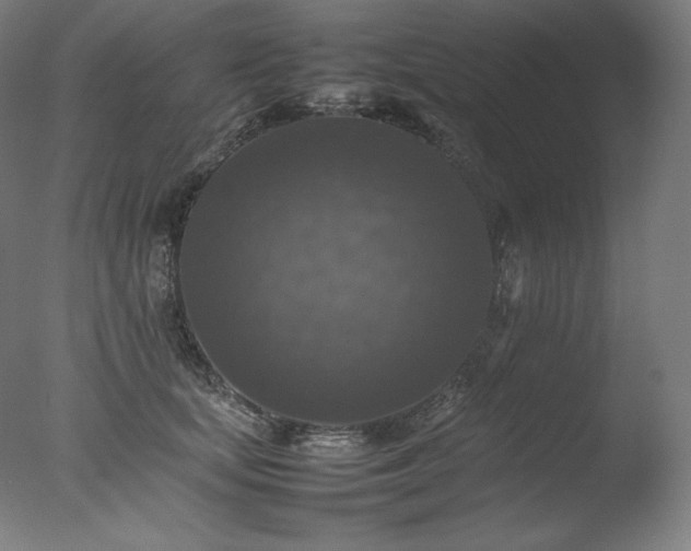 X0000077290659200610271526