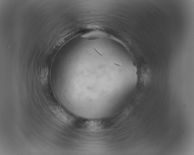 X0000077290660200610271526