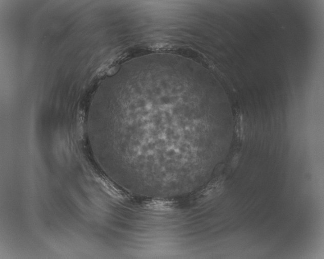 X0000077290664200610271526