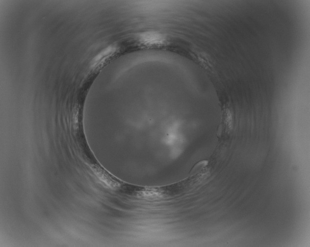 X0000077290668200610271526