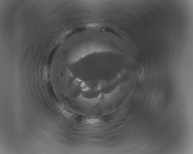 X0000077290669200610271526