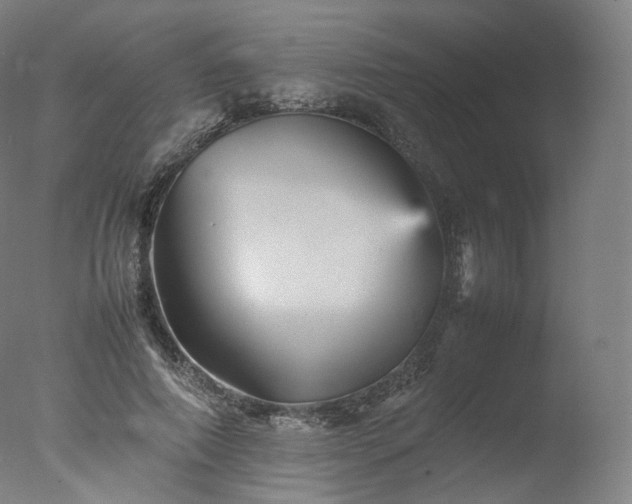 X0000077290690200610271525