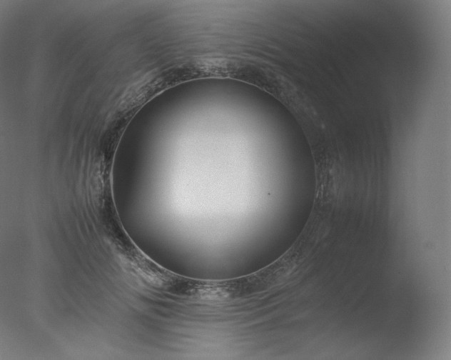 X0000077290702200610271524