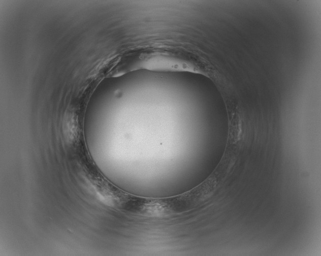 X0000077290704200610271524