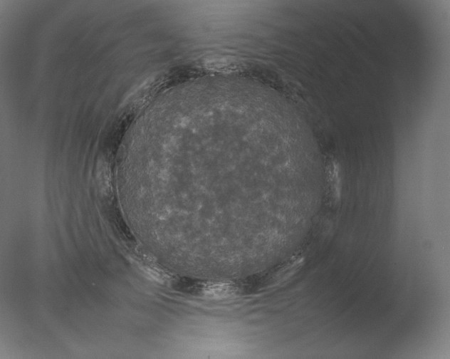 X0000077290705200610271524