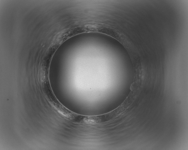 X0000077290706200610271524