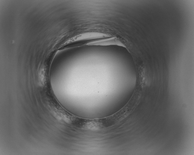 X0000077290708200610271524