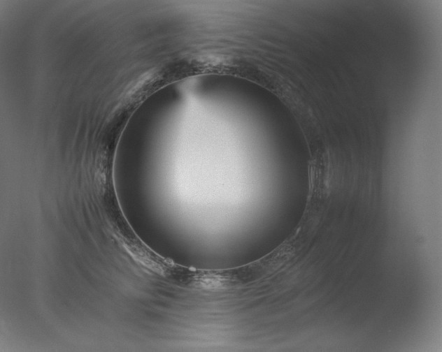 X0000077290710200610271524