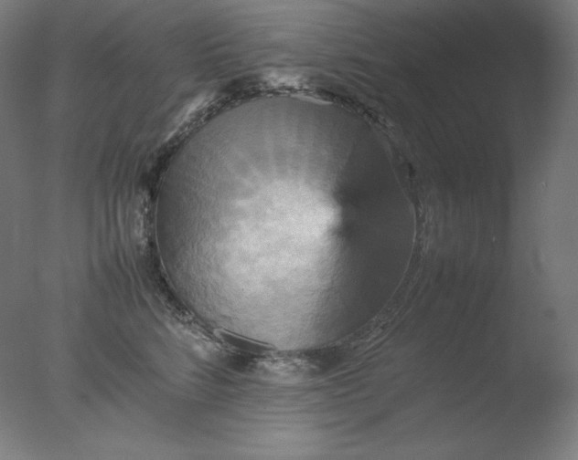 X0000077290712200610271524