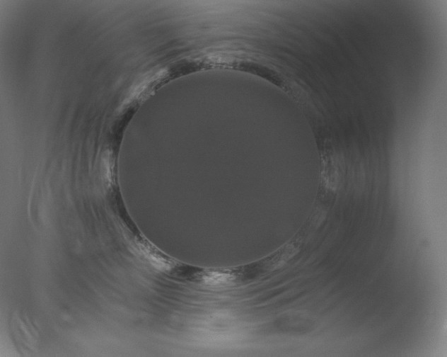 X0000077290718200610271524