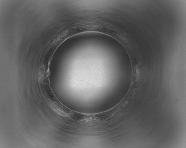 X0000077290752200610271524